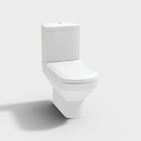 Inodoro Villeroy & Boch Sentique 2