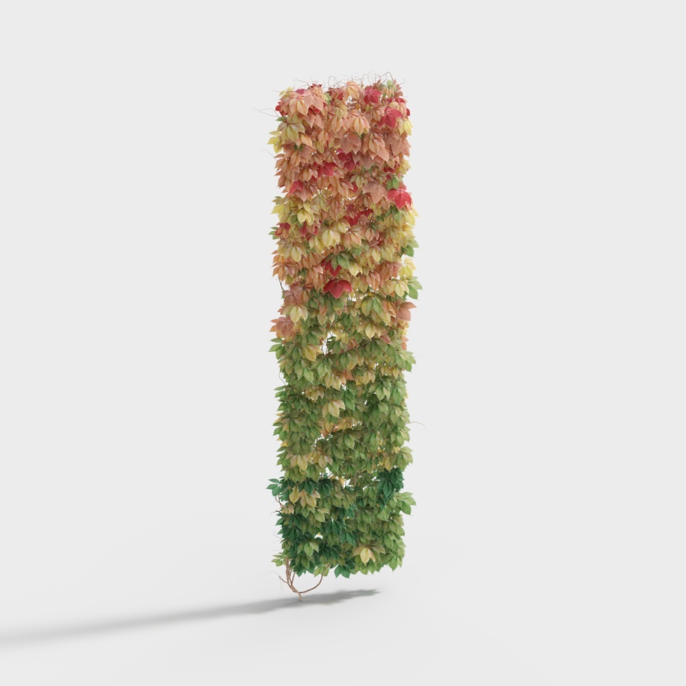 Mur d'ornements 2 plantes