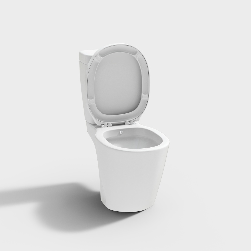 Toilet_10