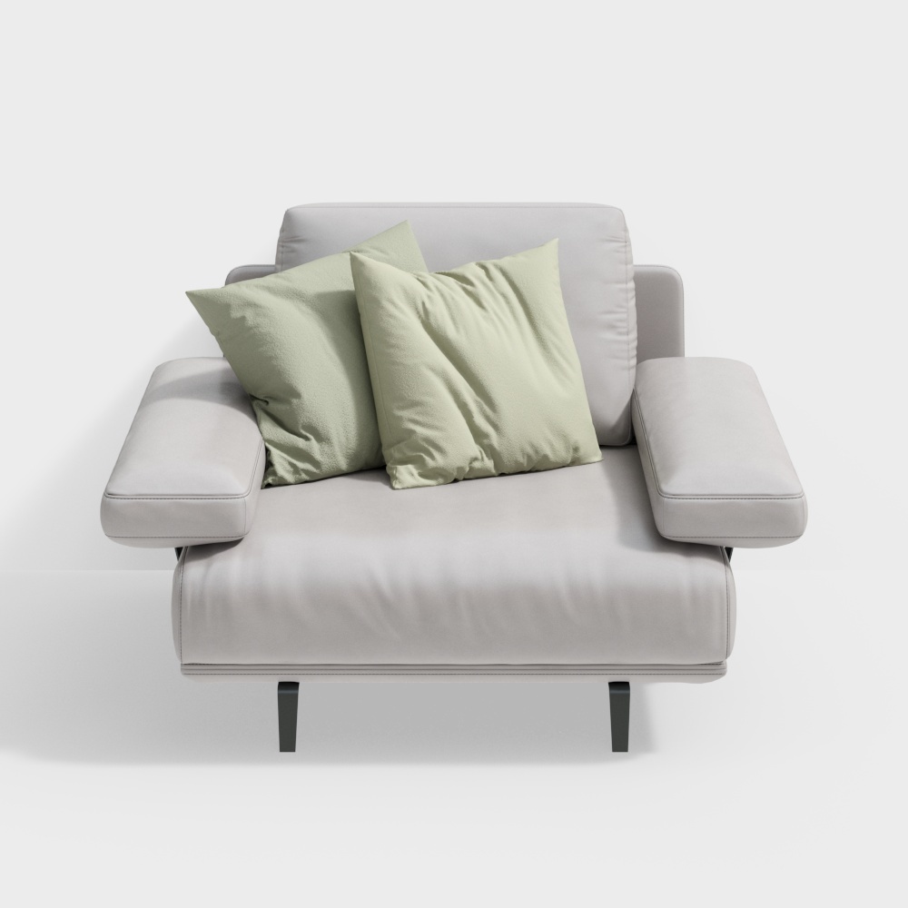 Divano in pelle grigia (Poltrona)