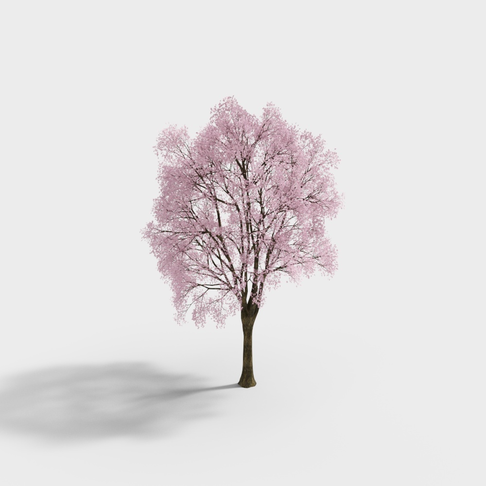 Spring Hope 3D model - Cherry Blossom Tree