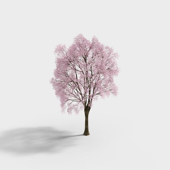 Spring Hope 3D model - Cherry Blossom Tree