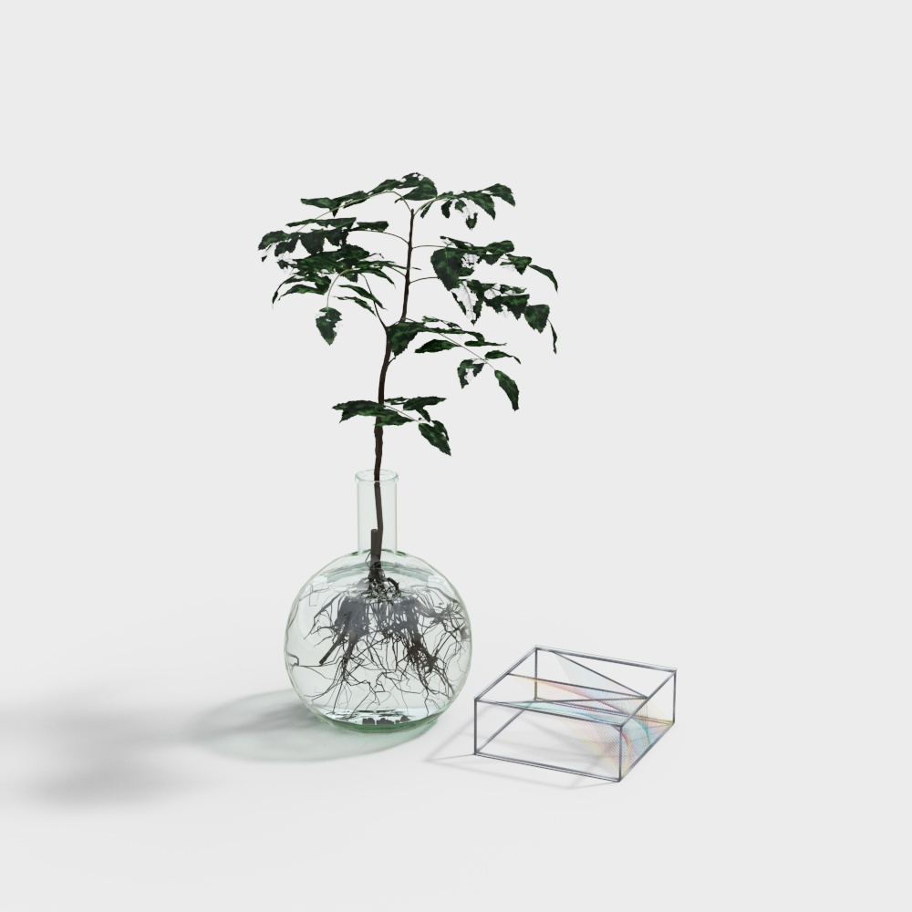 Moderne transparente Vase