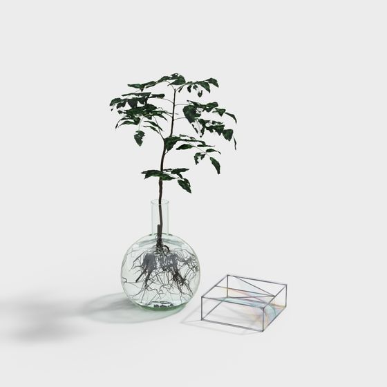 Moderne transparente Vase