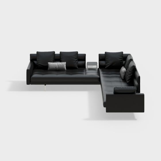 Canapé en cuir (canapé) noir