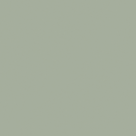 Gray Wall Paints/Coatings