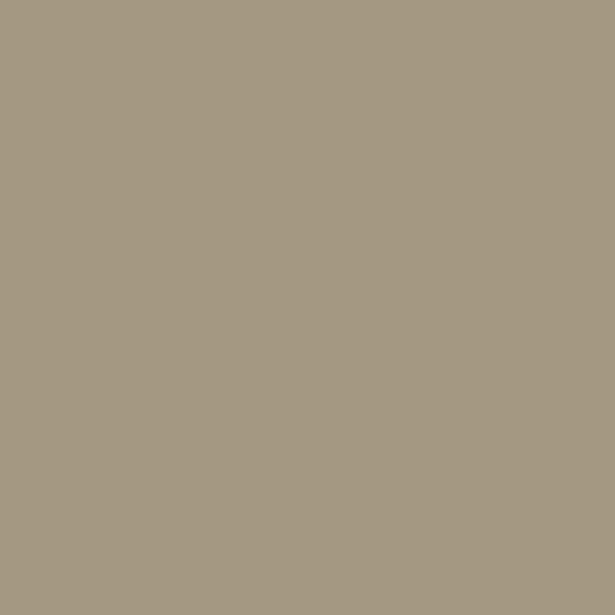 Epoxy Floor Coating RAL1019 3D Model