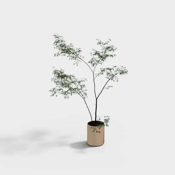 City Oasis Potted Plant 3D Model for Creative Projects