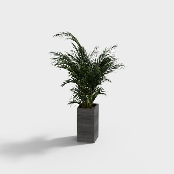 Stylish Tropical Potted Palm Tree 3D Model