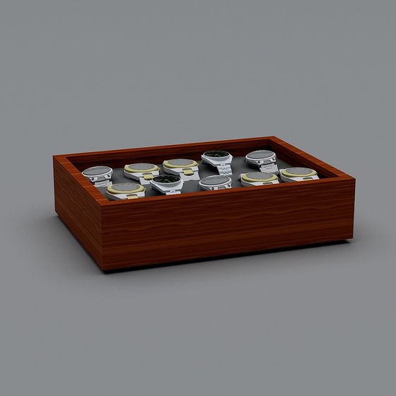 Elegant Watch Display Case 3D model