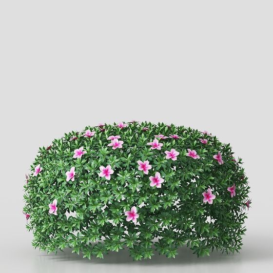 Dome Shrub Low-Poly 3D Model