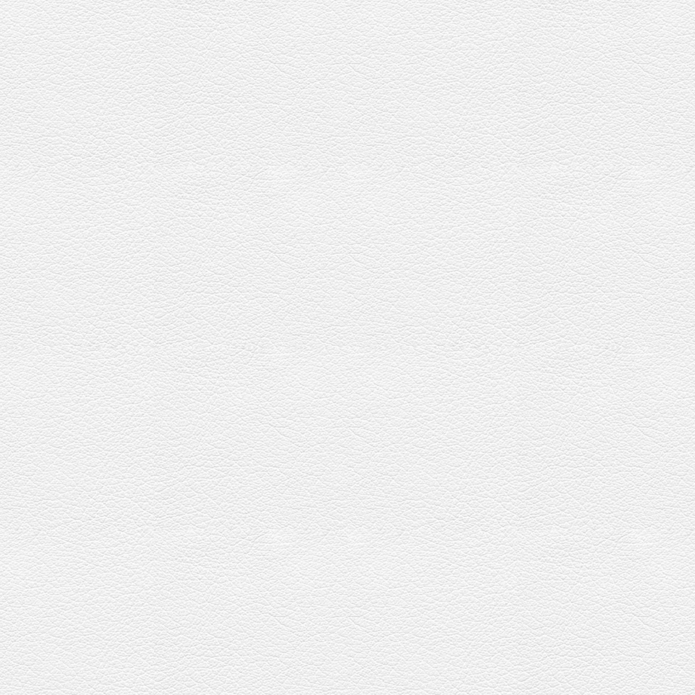 Integrated Wallboard -OPD1941A Litchi skin pattern -600