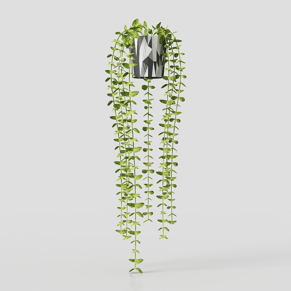 FEJKA + ハンギング アイビー