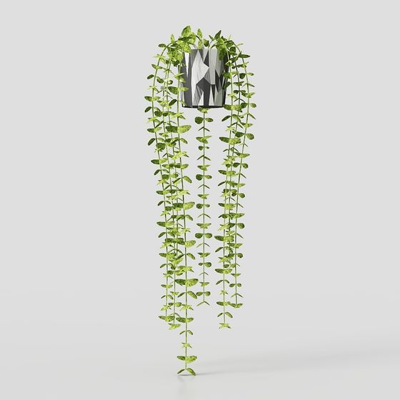 FEJKA + ハンギング アイビー