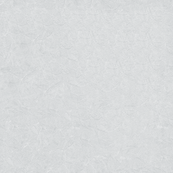 Sophisticated Pearl Gray Wall Paint 3D Model