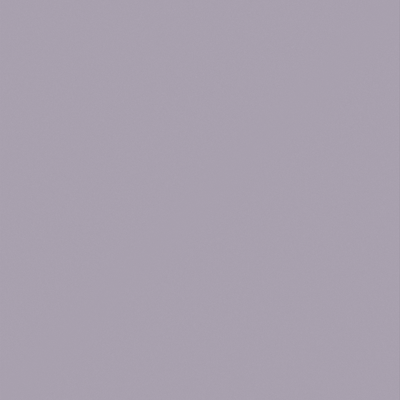 Baibin Paint 3D Model in Elegant Gray