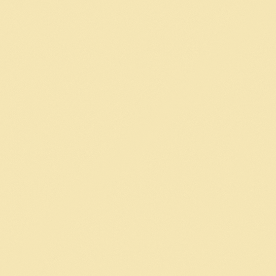 Baibin Yellow Wall Paint