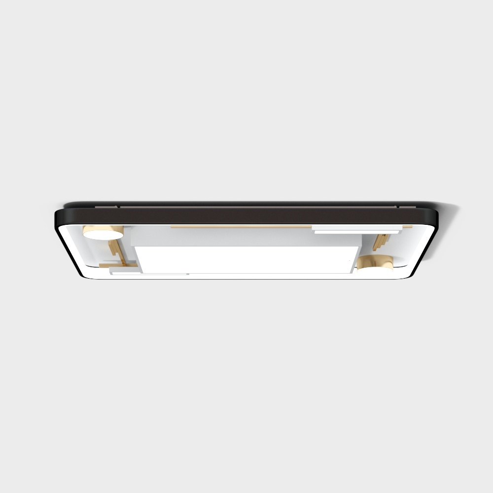 Ceiling light - modern minimalism - polar ring 8000000094