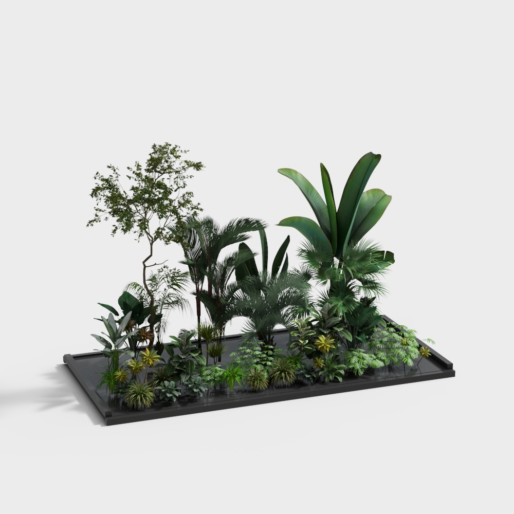 Plantes vertes modernes