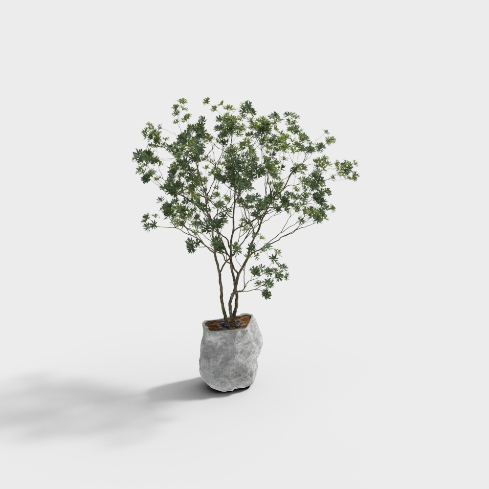 Pianta in Vaso Nuovo Stile Cinese