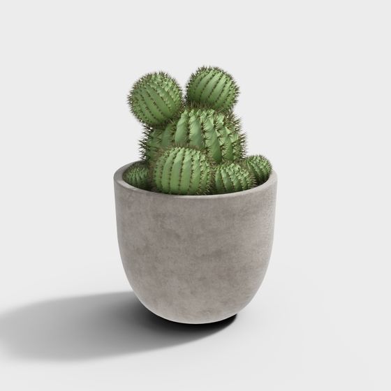 Desert Oasis Low-Poly Cactus 3D model