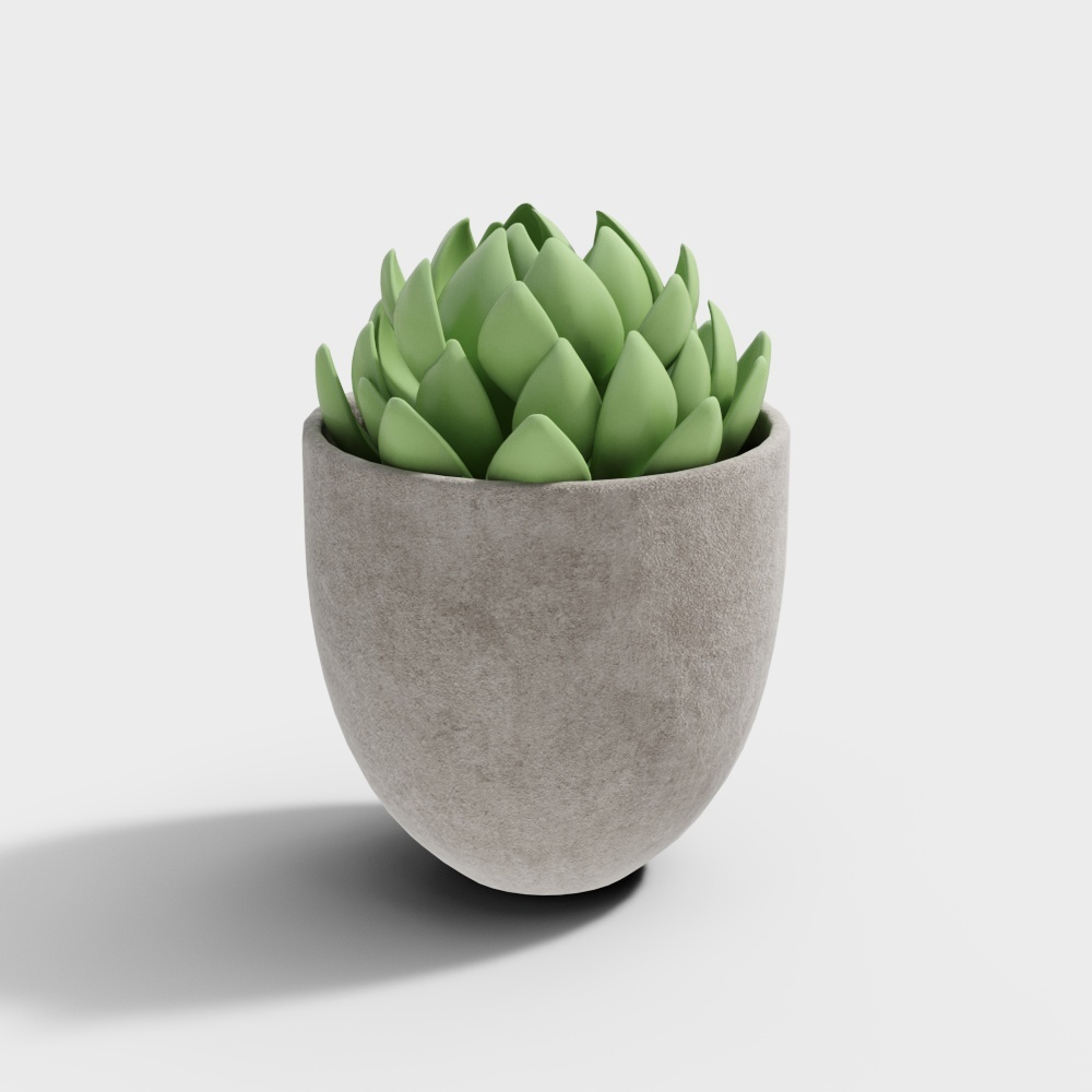 モダンな多肉植物の鉢植え