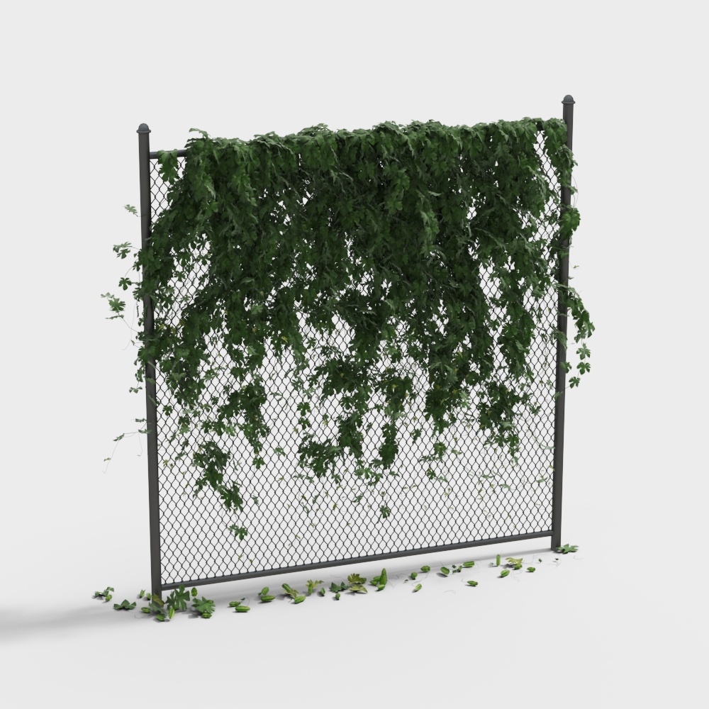 철 녹색 식물 벽