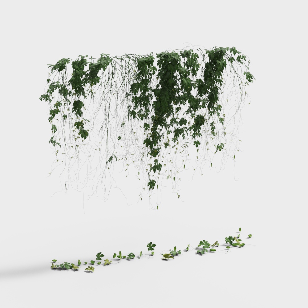 Pianta Semplice Verde da Appendere al Muro