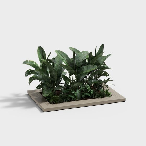 Tropical Garden 3D Model for Designers