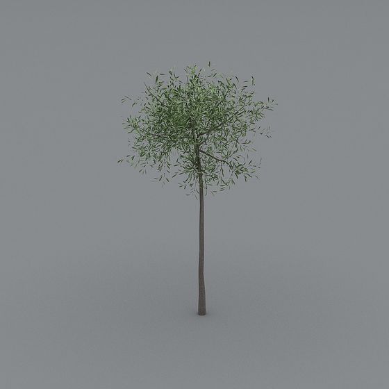 Lively Low-Poly 3D Tree Model for Creative Projects