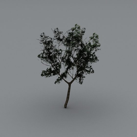 Realistic Low-Poly 3D Tree Model