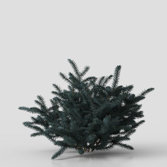 Winter Pine Forest 3D model