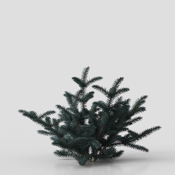 Realistic Cedar Tree 3D model