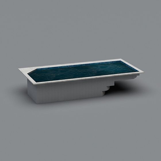 Modern Pool 3D model