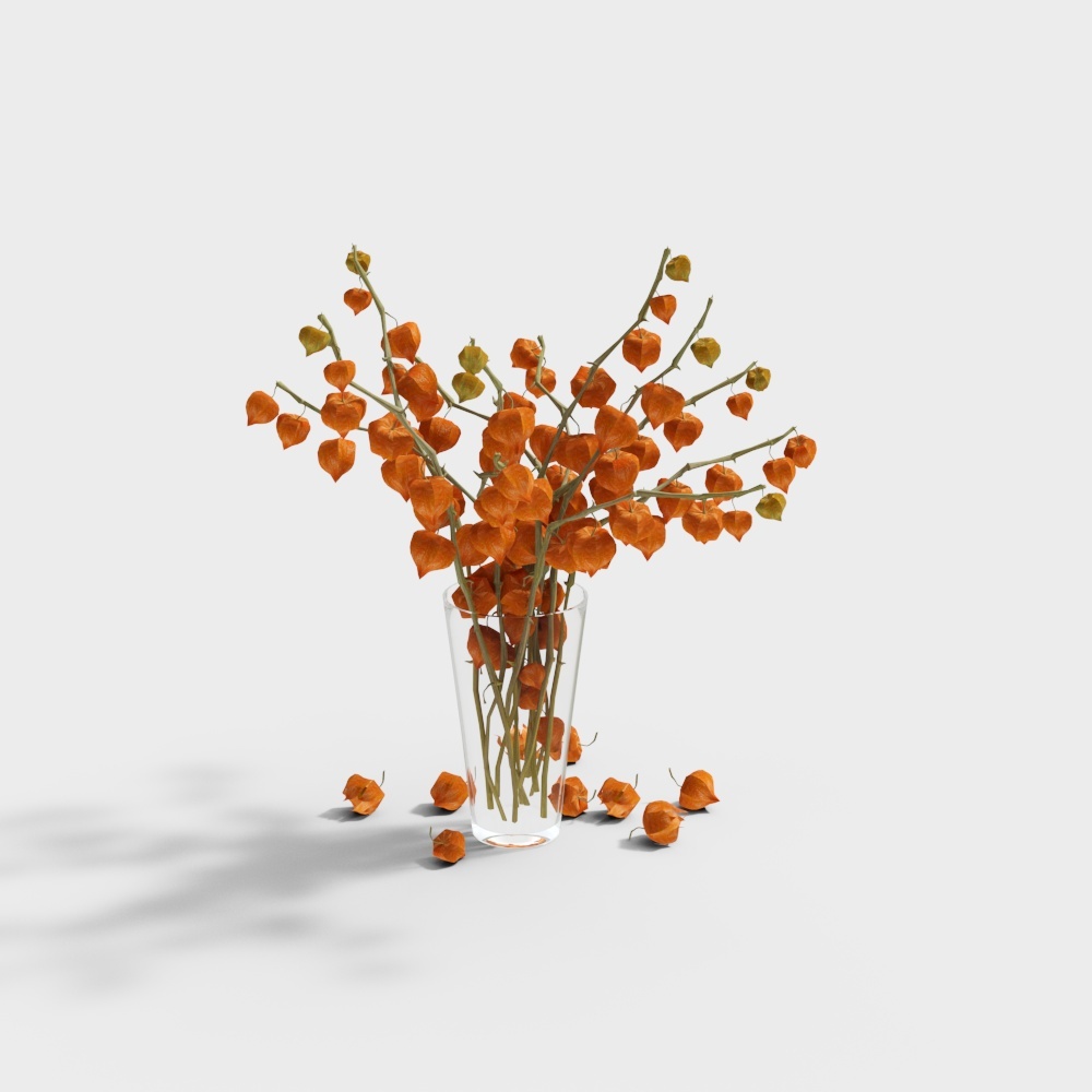 ランタン フルーツ-花瓶-鉢植え-YJ