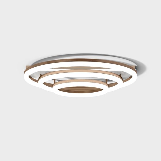 Ring of Light Ceiling Lamp 3D model