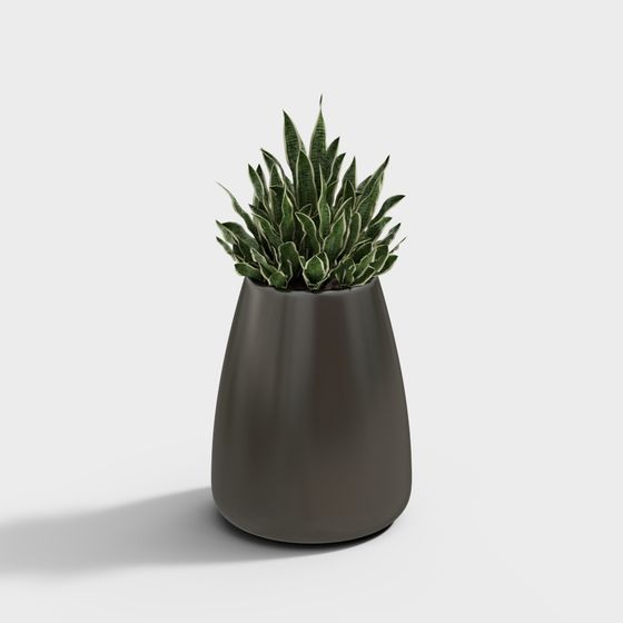 Cây xanh trang trí 34