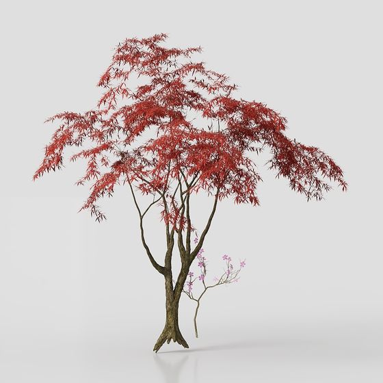 Vibrant Red Maple Tree 3D model for Nature Scenes