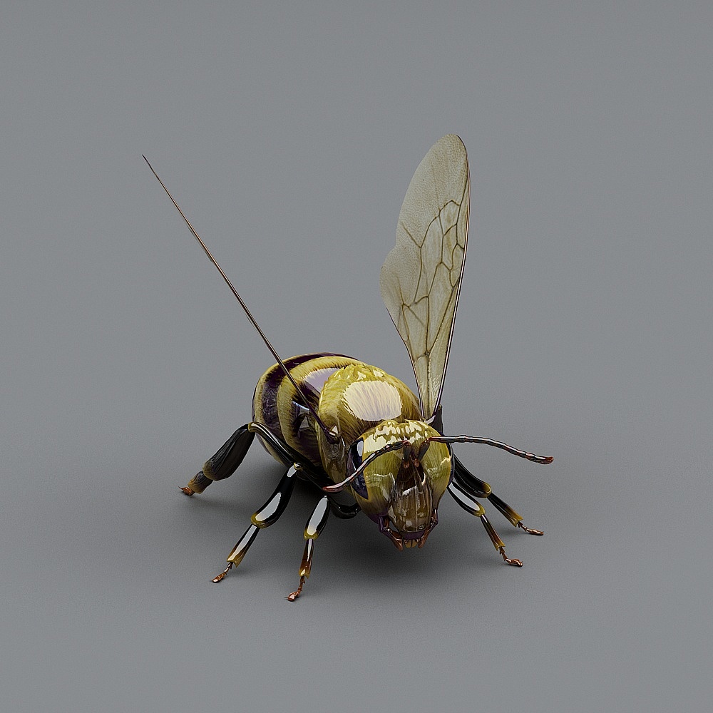 Bee Dancer 3D model