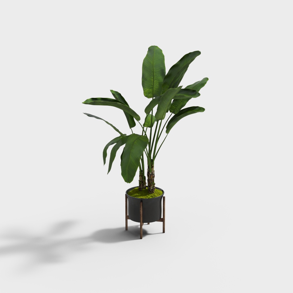 Green plant ornament 55