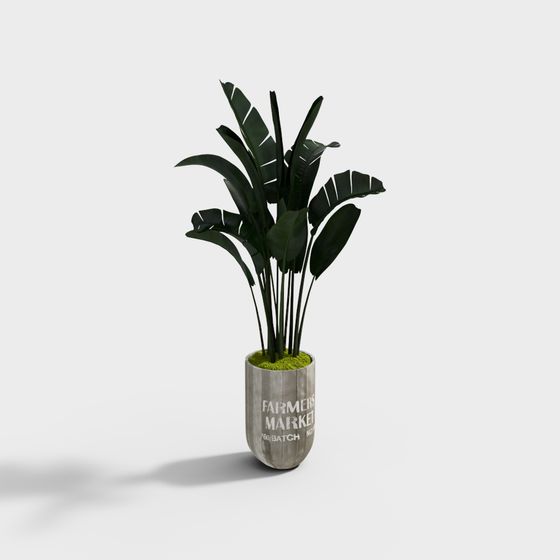 Cây xanh trang trí 54