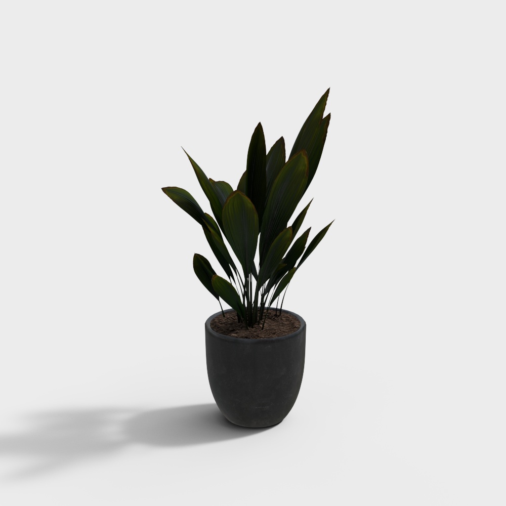 Ornement de plante verte 53