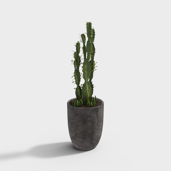 Stylish Cactus 3D model for Interior Design