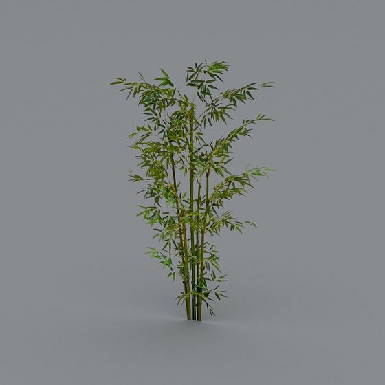 Bamboo Forest Spirit Low-Poly 3D Model