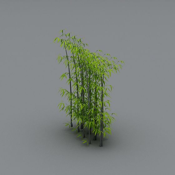Realistic Bamboo Forest 3D Model