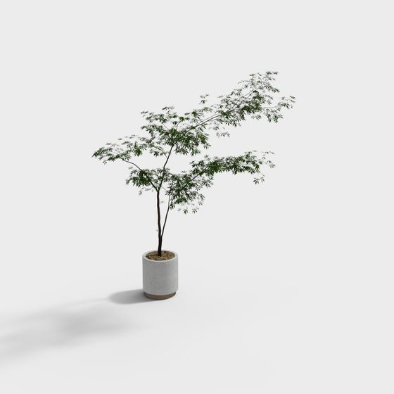 Urban Greenery 3D model for Creative Projects