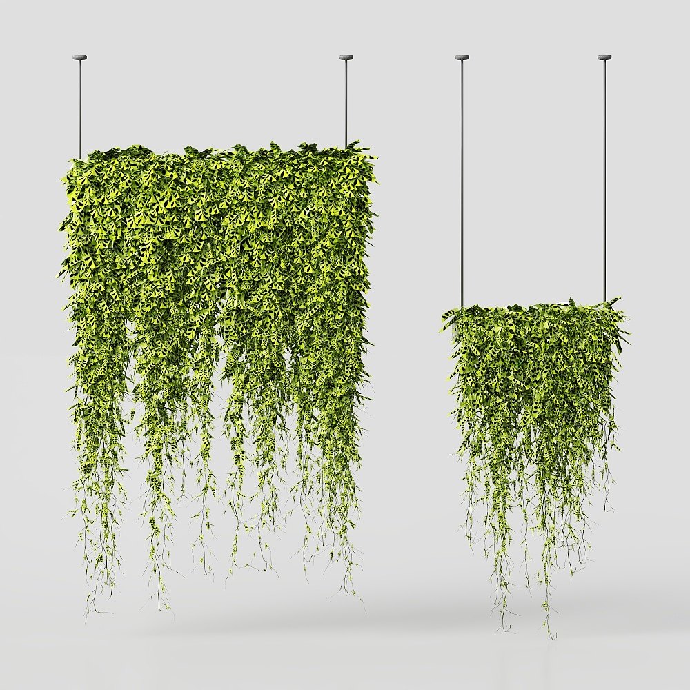 Landscape Climbing Plant Combination