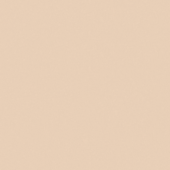 Holland Cote Art Coatings