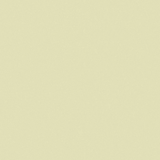 Holland Cote Art Coatings in Earth Color for Interior Walls