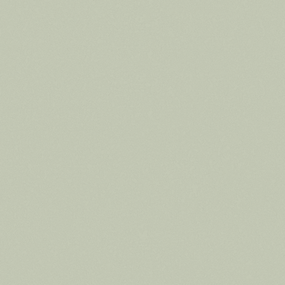 Holland Cote Green Wall Paint 3D Model